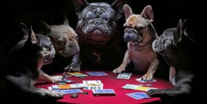 Top 20 Quotes About Gambling